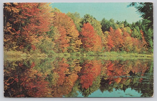 Adirondacks fall foliage - fall,