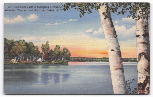 Vtg fish creek state - vtg,