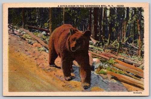 Adirondack mountains new - adirondack,